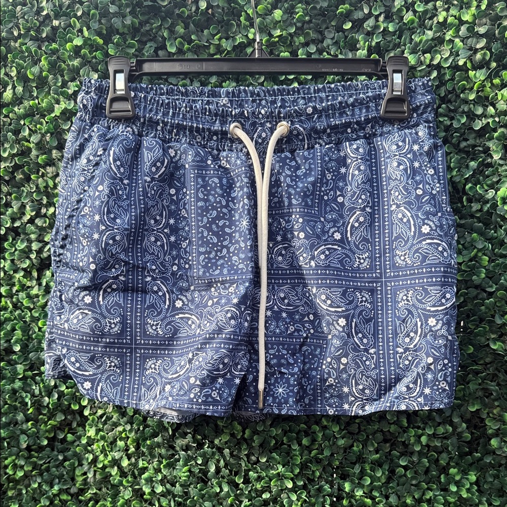 Boohoo Mens Blue Paisley Swim Trunks